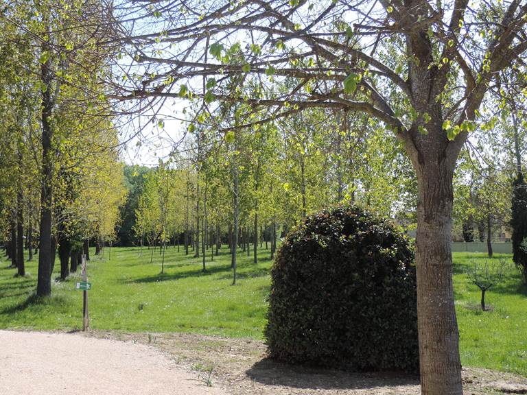 Parc résidence les peupliers loriol du comtat