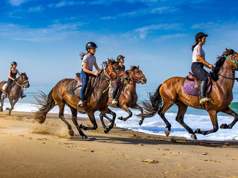 balade cheval plage charente maritime