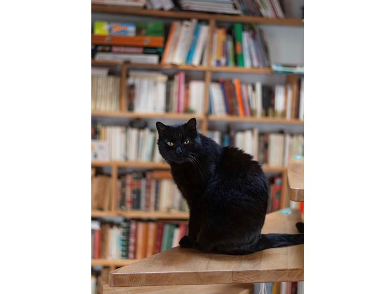 chambre-hotes-riec-sur-belon-finistere-sud-bretagne-cornouailles-bed-and-breakfast-visite-pont-aven-sentier-cotier-randonnée-jardin-centre-bourg