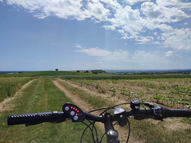 La Bulle "Une parenthèse enchantée" : vélos électriques compris dans votre séjour.-gallery