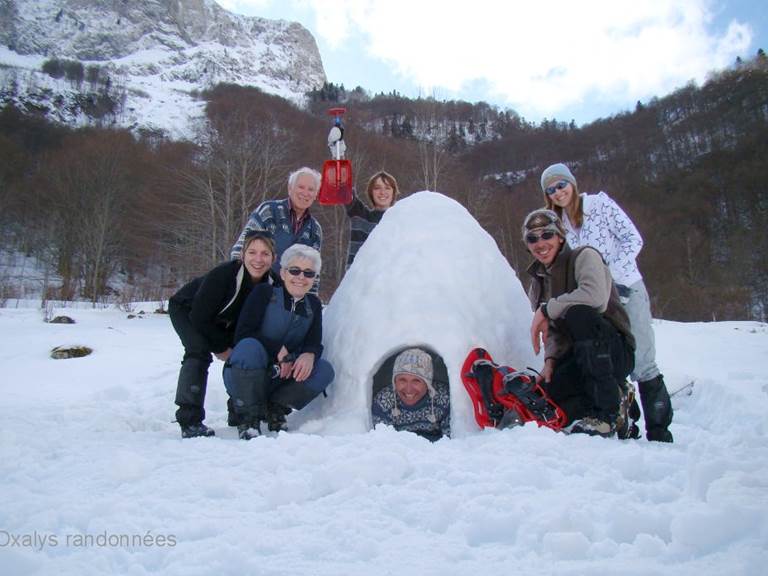 famille igloo