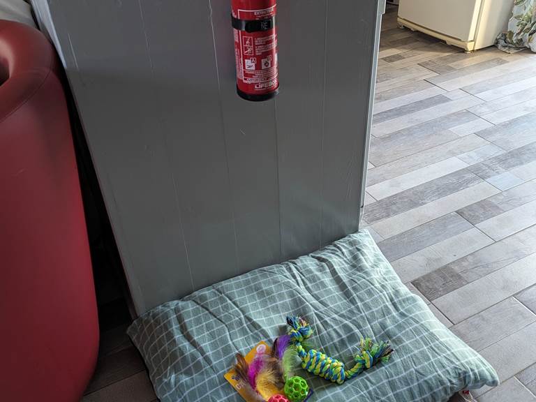 Pet toys and fire extinguisher in the living room at Tuffeau Sunsets, Jaulnay Gites de Famille..