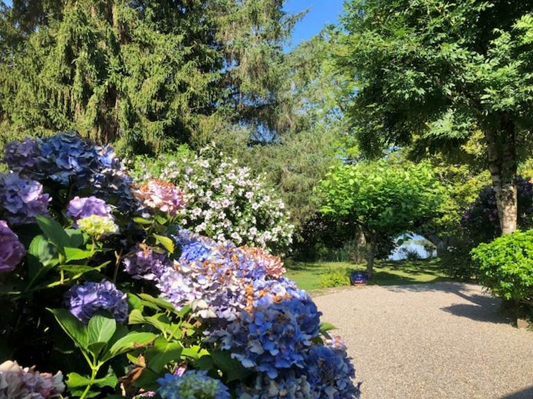 Vue sur jardin