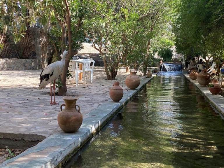 WhatsApp Image 2025-12-18 at 15.26.02-3