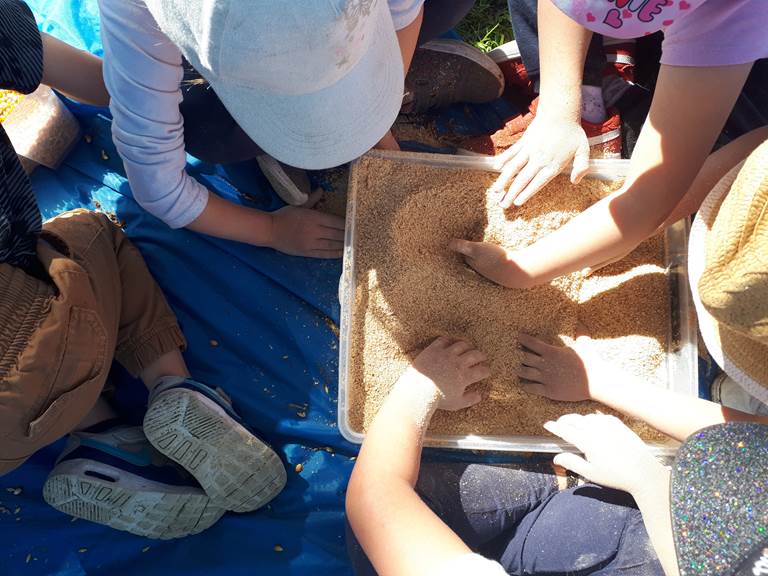 la ferme des delices foreziens, ferme pedagogique, visites familles,boîtes sensorielles,céréales,farine,st cyr les vignes, loire forez, 42