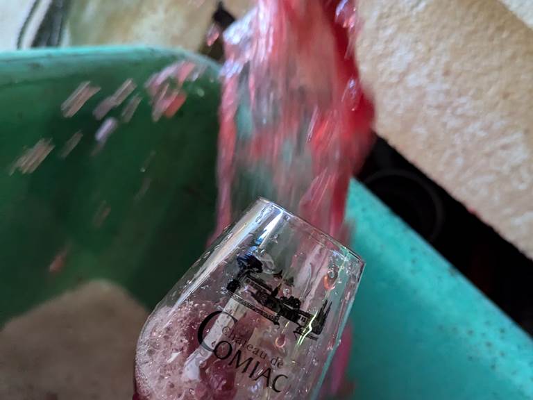 La Dégustation Sur Cuve