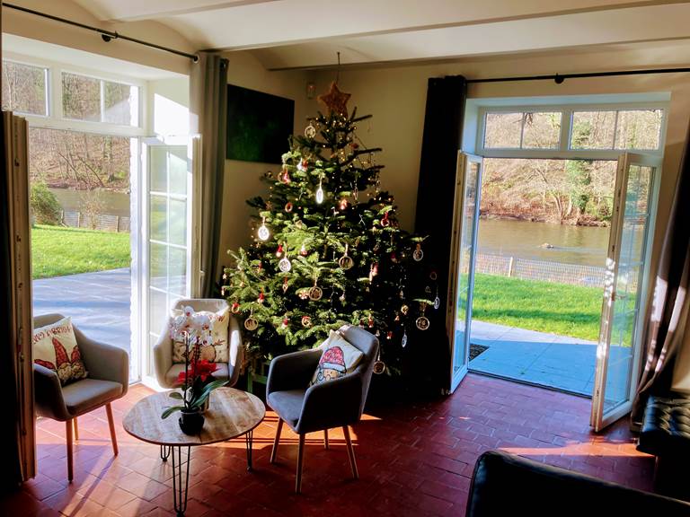 kerstboom-ambleve-oever-tuin-ecolodge