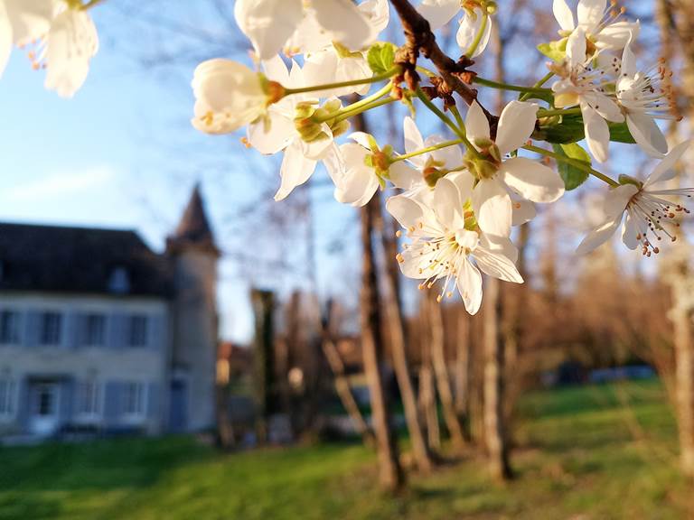 Manoir du Colombier au cœur des cerisiers en fleurs, jardins et paysages du Bugey.