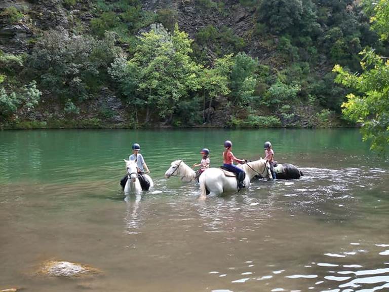 192291060_4623116564383450_6722781256250046703_n