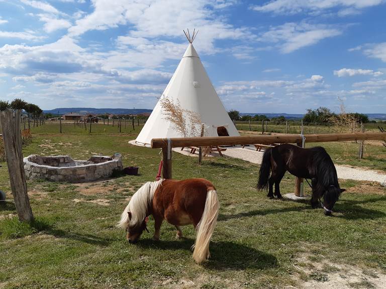 Tipi le jour