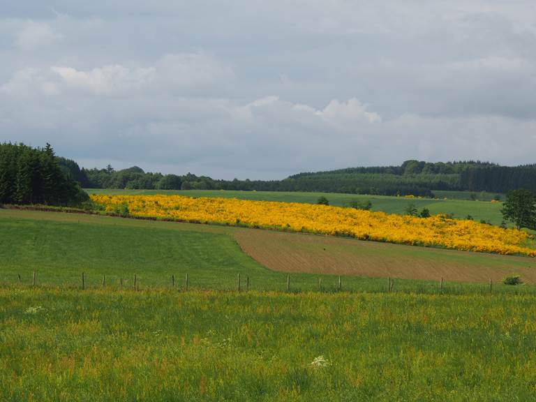 Vue depuis votre chambre à la Chabetaine au printemps