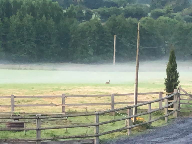 vue sur la vallée de Semilly et ses chevreuils