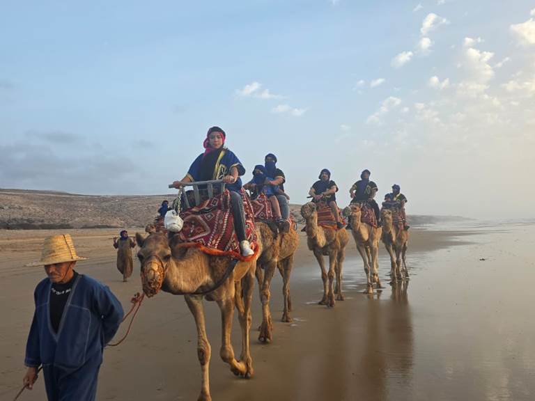 86454f55-749d-4e3a-81da-6d2084573b10