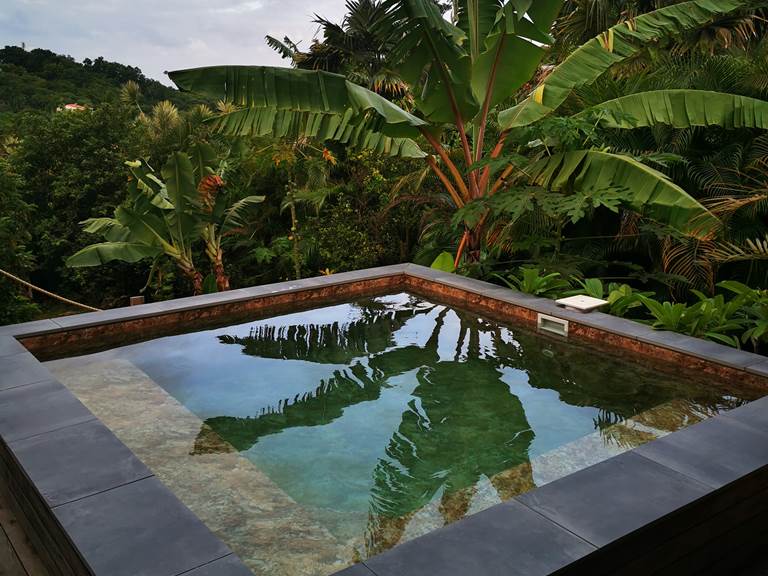 Les Jardins des Balisiers Gîte Balisiers piscine privative