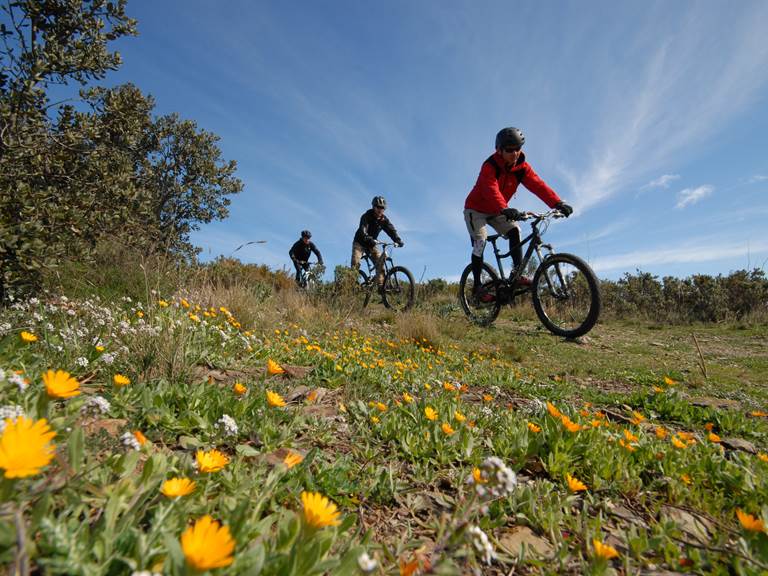 velo_pays_catalan