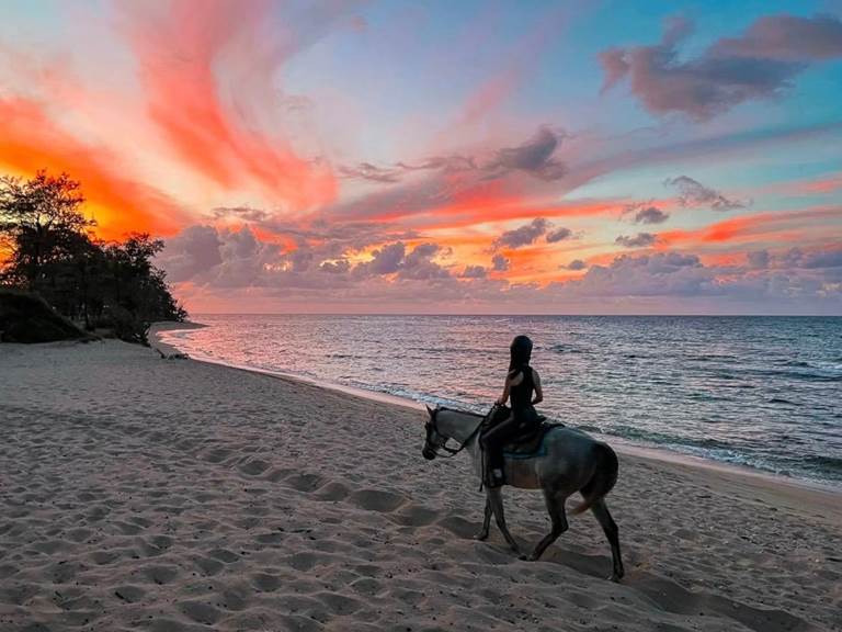 WhatsApp Image 2026-01-04 at 22.36.03