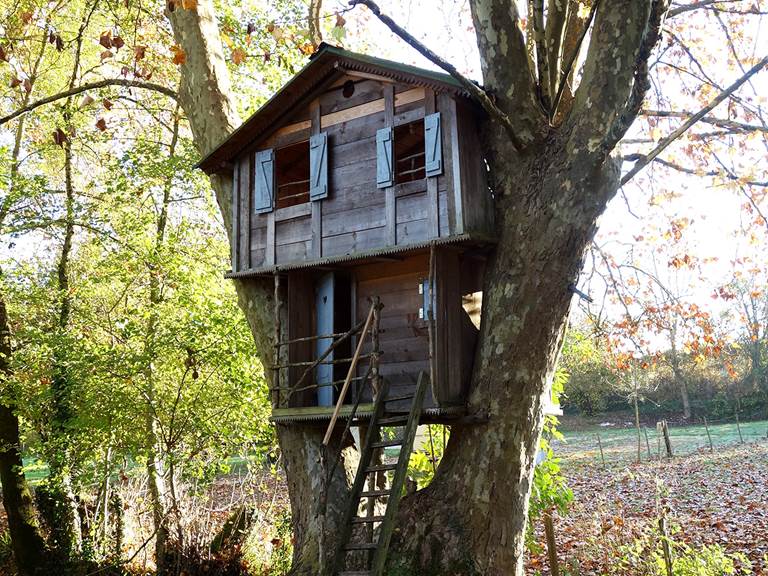 La cabane du grand platane en automne