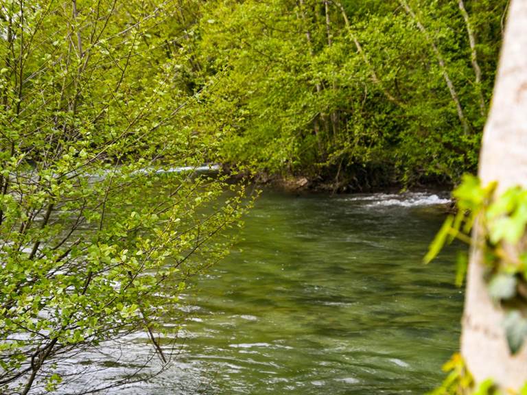 LES RIVES CHAMPENOISES - Extérieur