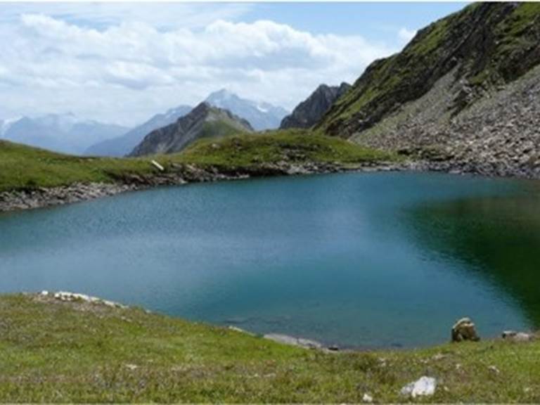Image1