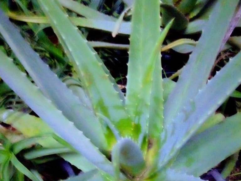 6808b6b86ce30434367533