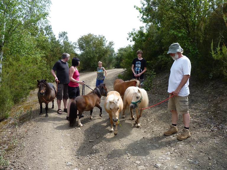 Ballade poneys