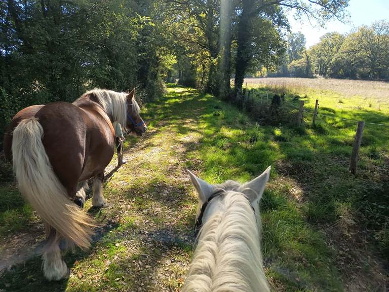 9e265e83-cefc-40ed-8640-95323211210f