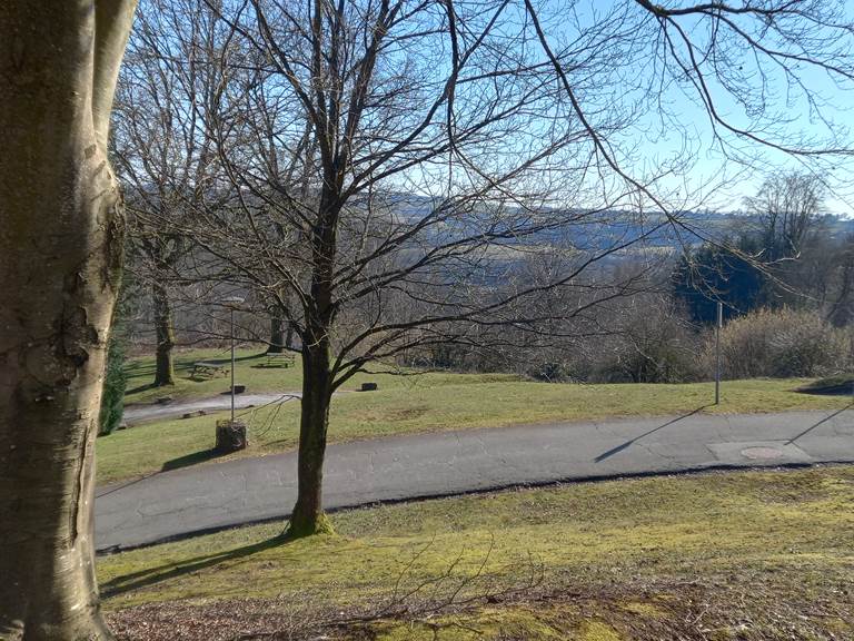 promenade dans le parc