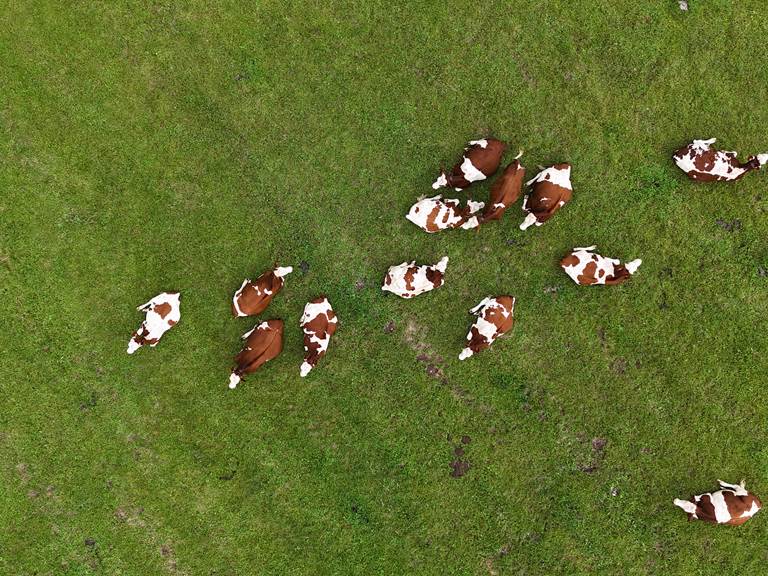 DJI_20240901163313_0224_D
