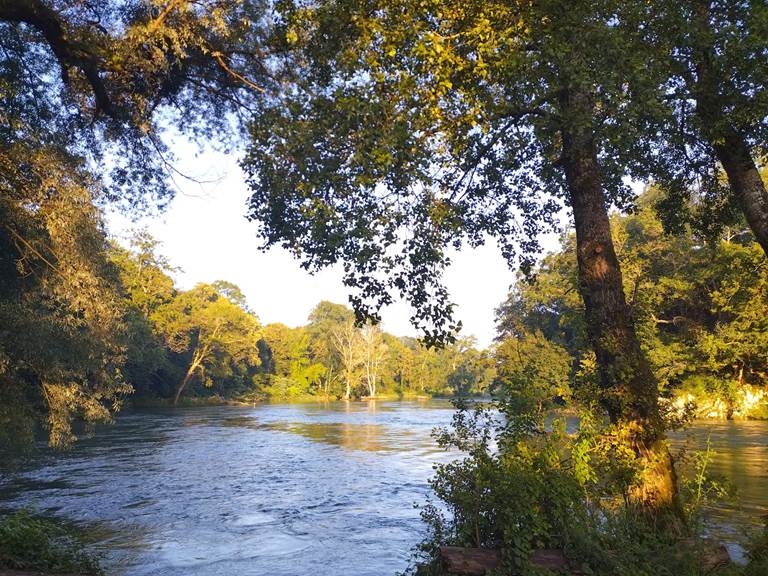 Un peu d'Amazonie dans un coin de paradis du Béarn