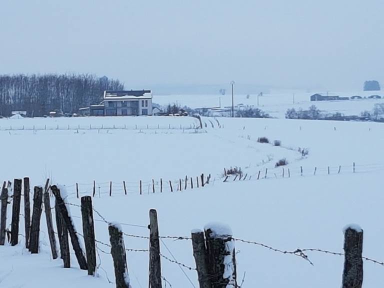 La chabetaine en hiver