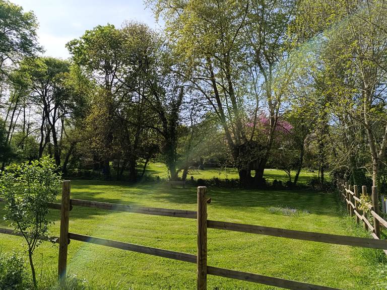 Camping à l'ombre des grands arbres