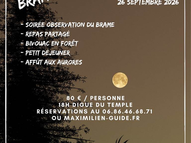 Bivouac brame 2025