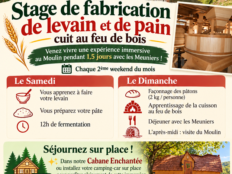 affiche stage pain et levain pour adultes
