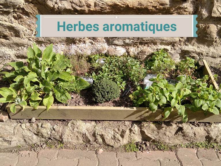 Clos de la Fontaine, Dinard, herbes aromatiques à disposition