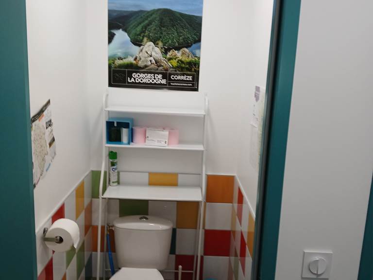 pipistrelles19-chambreshotes-lacdesechemaille-meymac