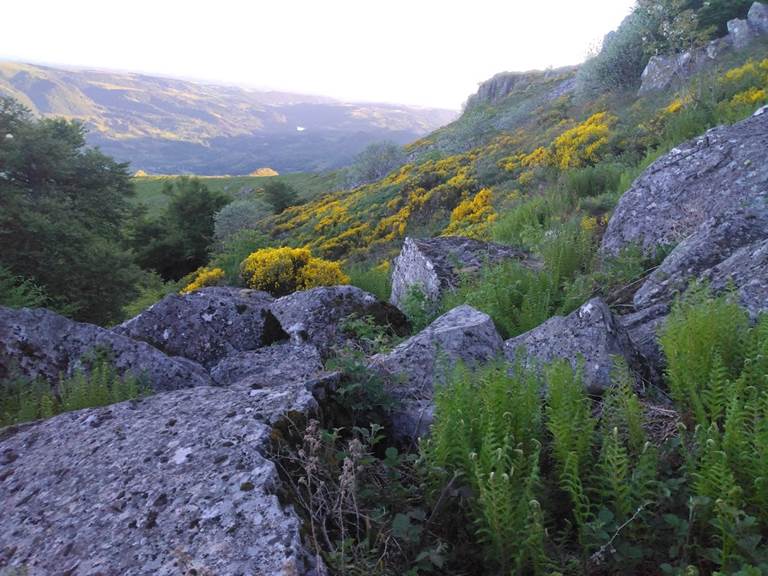 Paysage vu d'un sentier