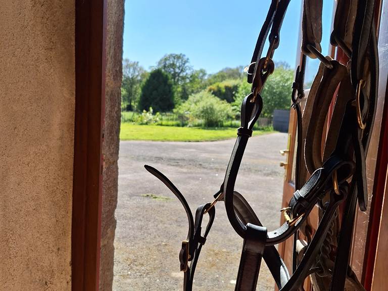 Sellerie - gîte équestre- chevaux bienvenus - adapté randonnée et cavaliers