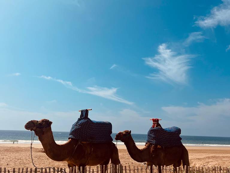 WhatsApp Image 2025-10-15 at 16.48.17