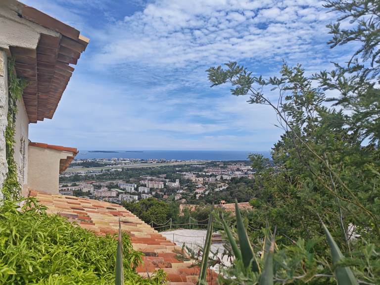 Villa 14