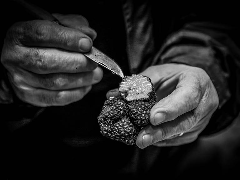 Le diamant du Périgord Noir -  La truffe noire - Tuber Melanosporum - Château de Puy Robert Lascaux