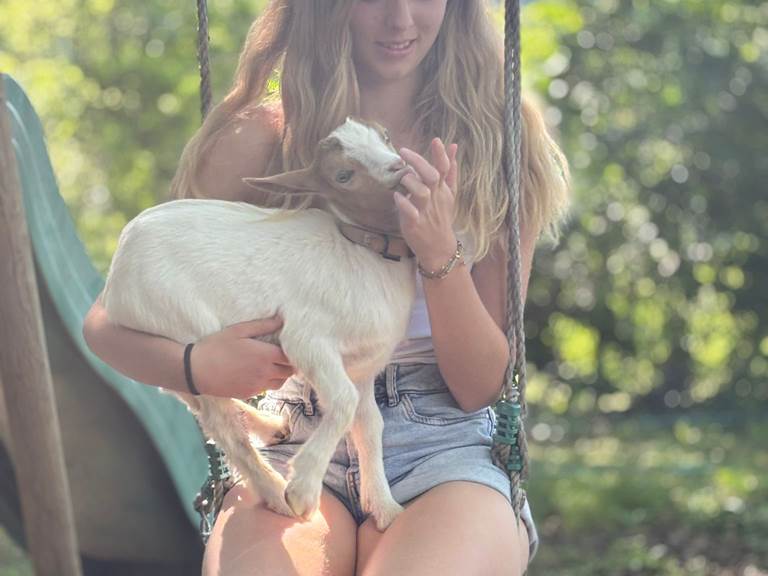 un moment de tendresse entre Ambre et Aladin