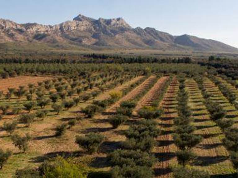 paysages_alpilles_Baux-de-Provence-presta