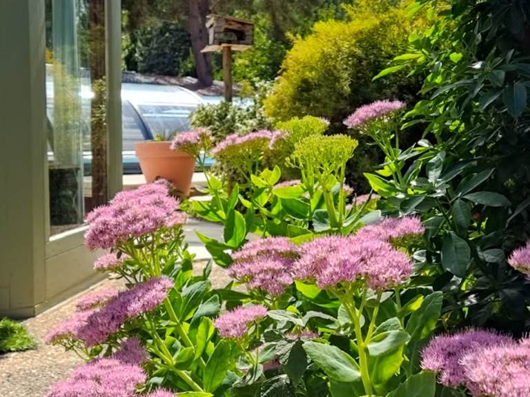 IMG_20250901_170601 (6)