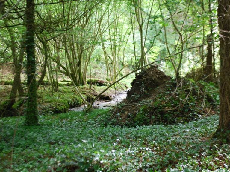 le ruisseau des fantaisies Vervialle 87120 Augne