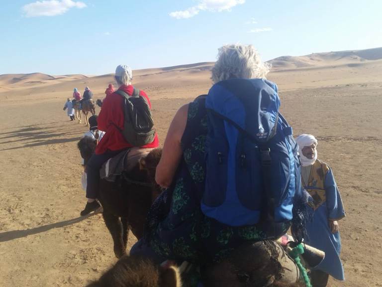 795064e2-923f-495c-ab22-637450bedfd7