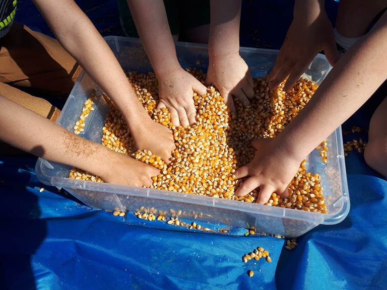 la ferme des delices foreziens, ferme pedagogique, visites familles,boîtes sensorielles,céréales,maïs,st cyr les vignes, loire forez, 42