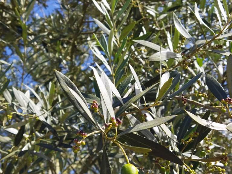 IMG_20250901_170601 (1)