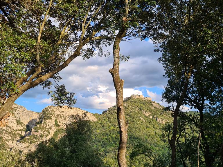 Vue sur le château