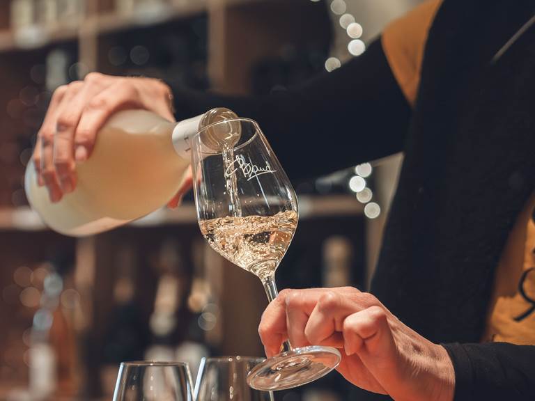 Dégustation de 7 vins du domaine