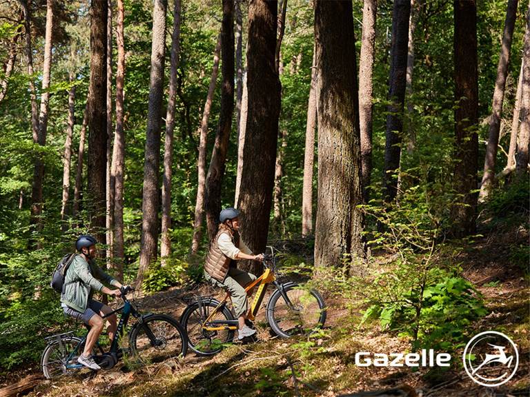 gazelle_stationsbees_foret